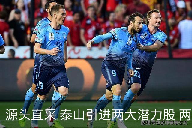 源头直采 泰山引进两大潜力股 两外援抵达济南